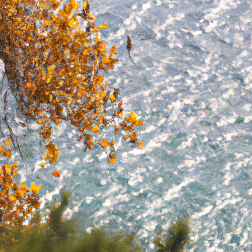 תמונה שלווה של קפריסין בסתיו, הכוללת עלים זהובים וים רגוע.